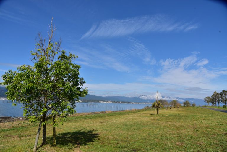 湖岸緑地(2018年11月上旬) 花と緑を求めて